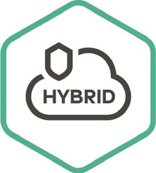 ознакомтесь перед покупкой с Kaspersky Hybrid Cloud Targeted Security, Desktop